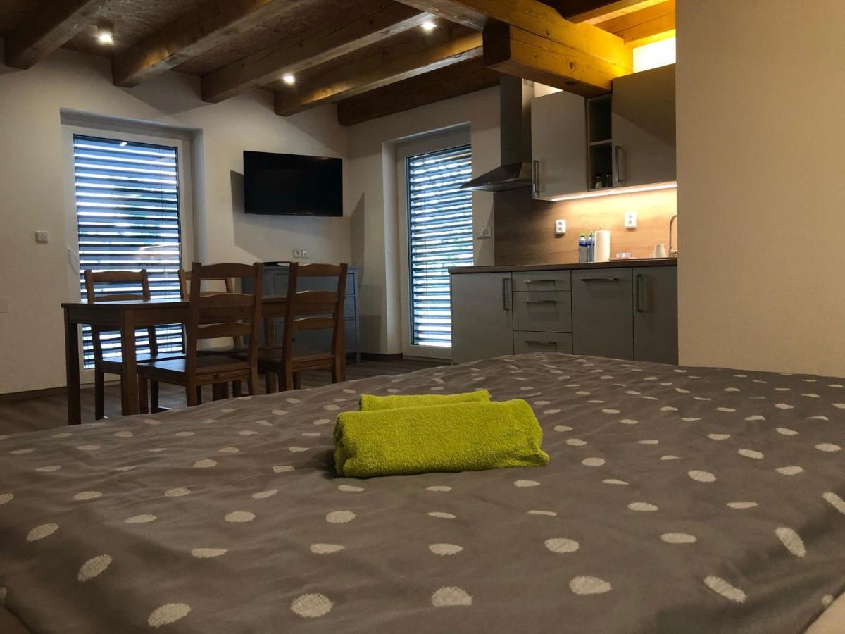 Anico Apartmany Dolni Benesov Exterior photo